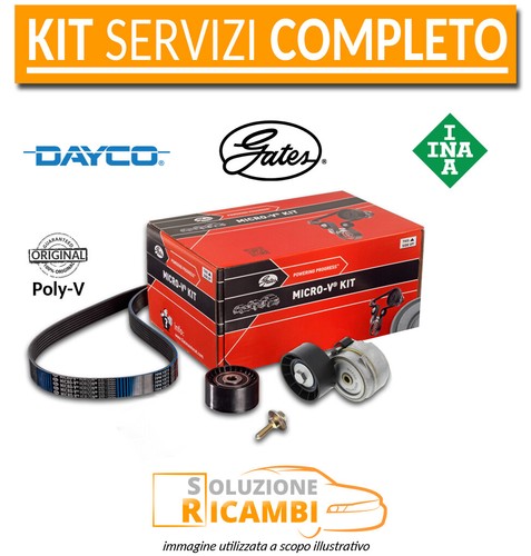 Kit cinghie servizi audi - cinghie,